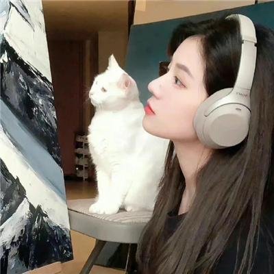 疯狂追击者